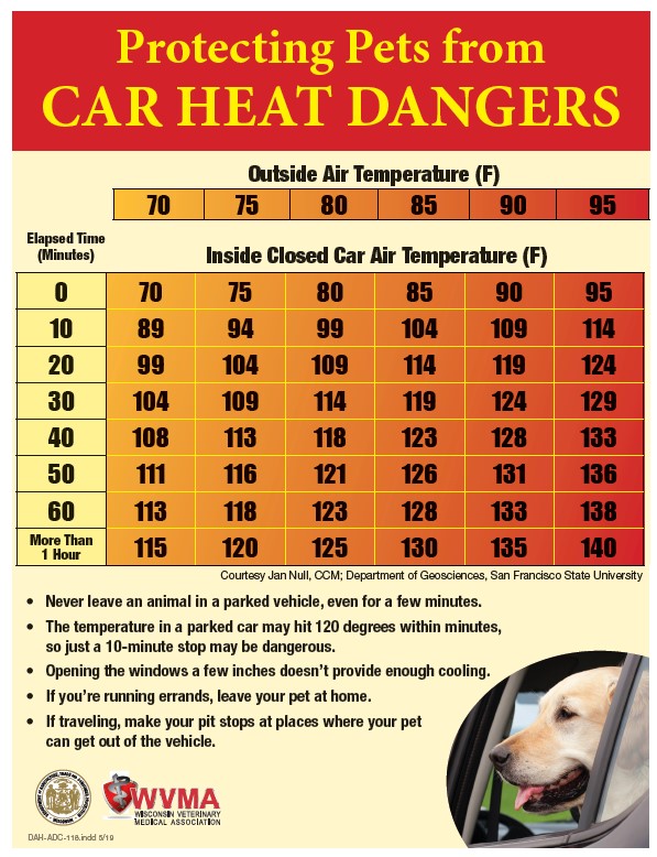 Temperature chart for pets in hot cars.