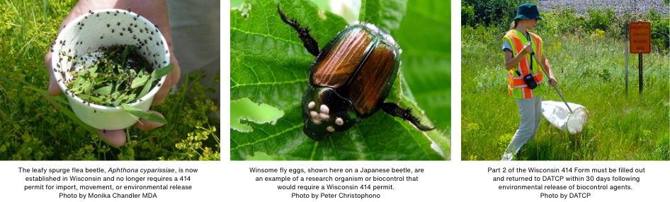 Biocontrol page banner