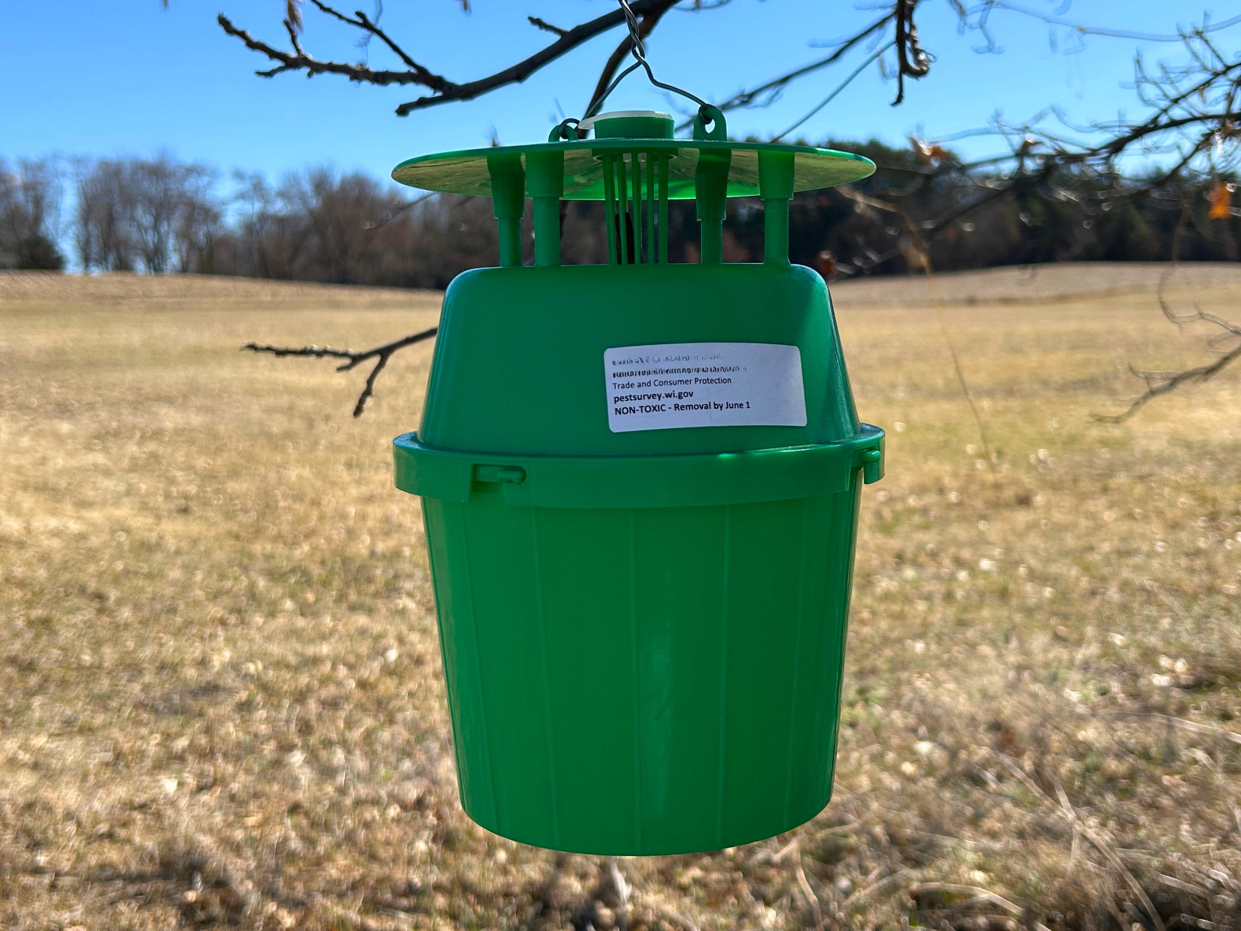 Green bucket trap