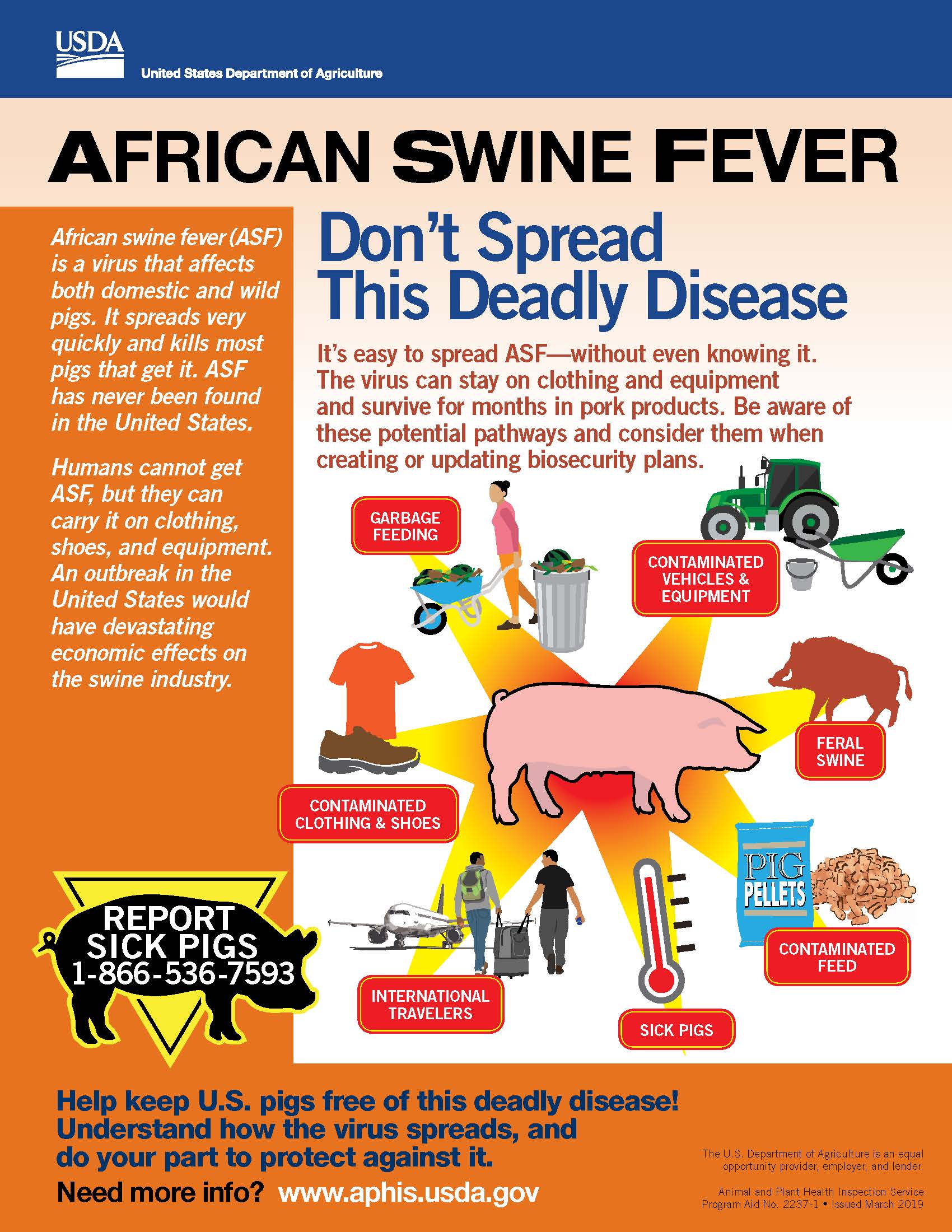 Datcp Home African Swine Fever 