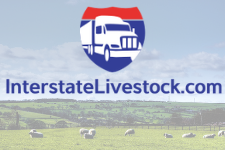 Interstate Livestock Button