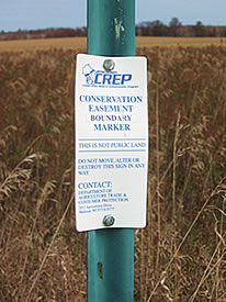 CREP easement boundary sign