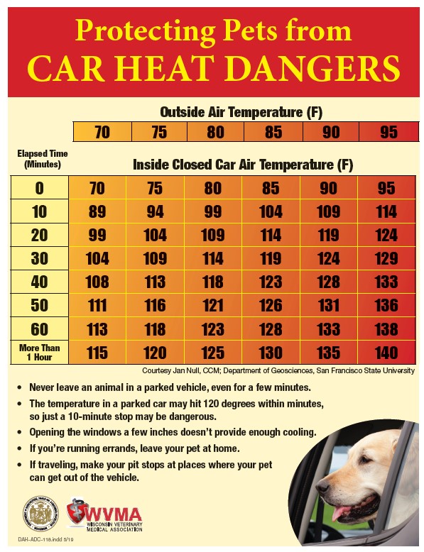 Heat Chart For Dogs