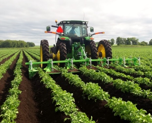 Farming equiptment creating potato hills in a farm field in the Fairfield AEA in Sauk County