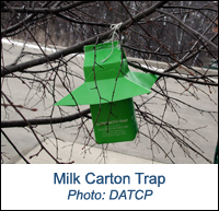 Milk Carton Trap