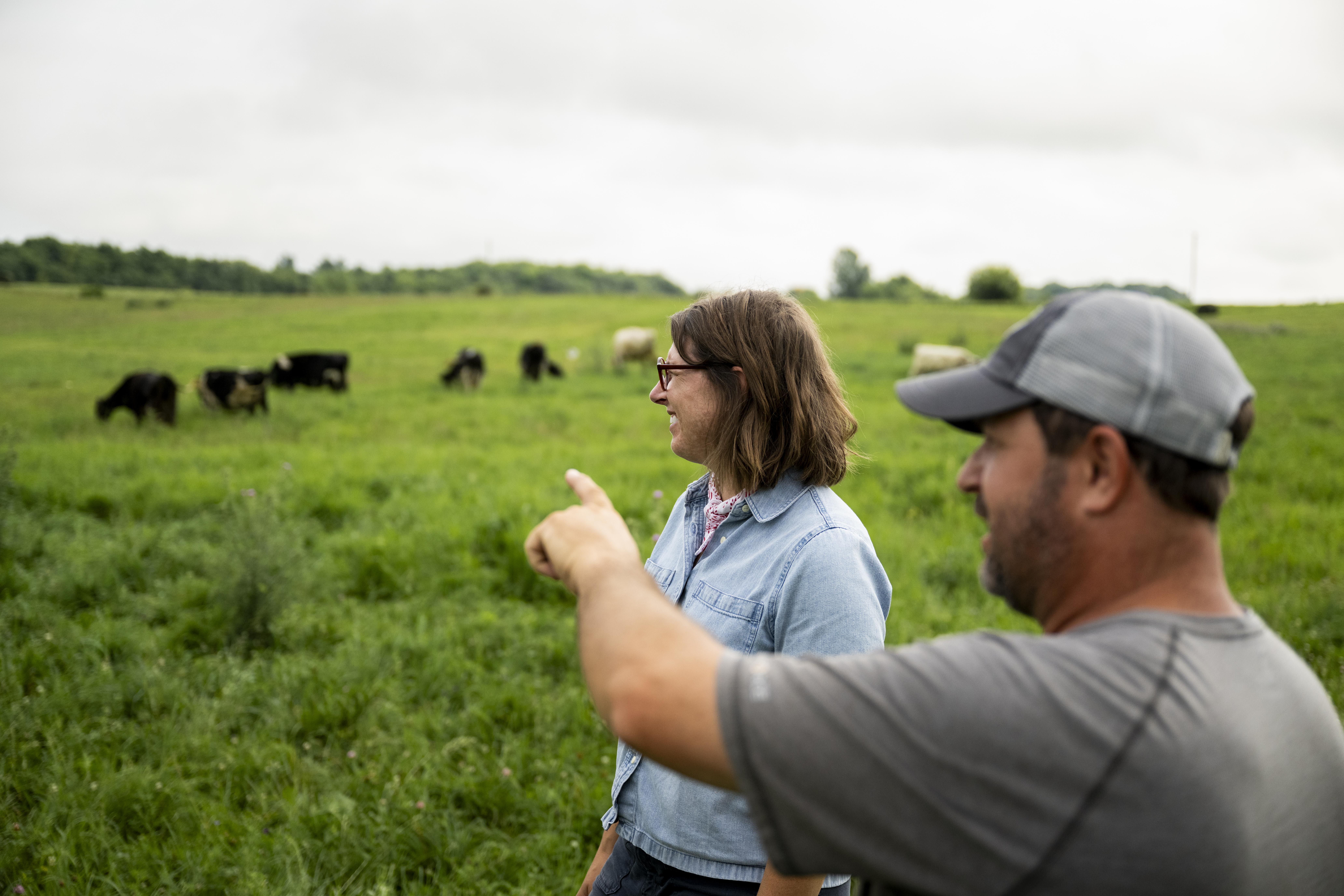 A farmer pointing at his herd of cows in a pasture for a woman to look at.