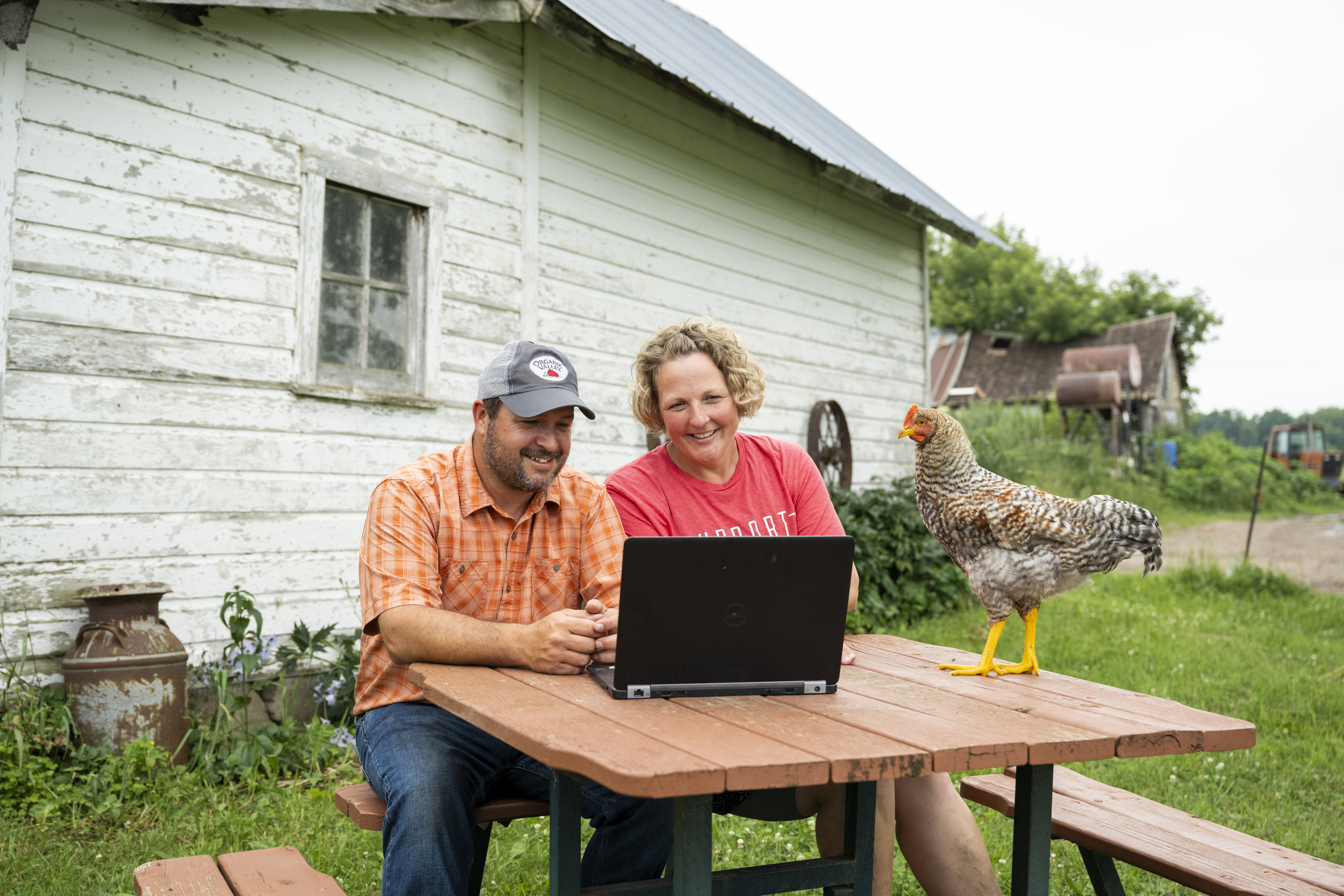Two farmers smile at their laptop on an outdoor picnic table with a hen standing on one end of the table.