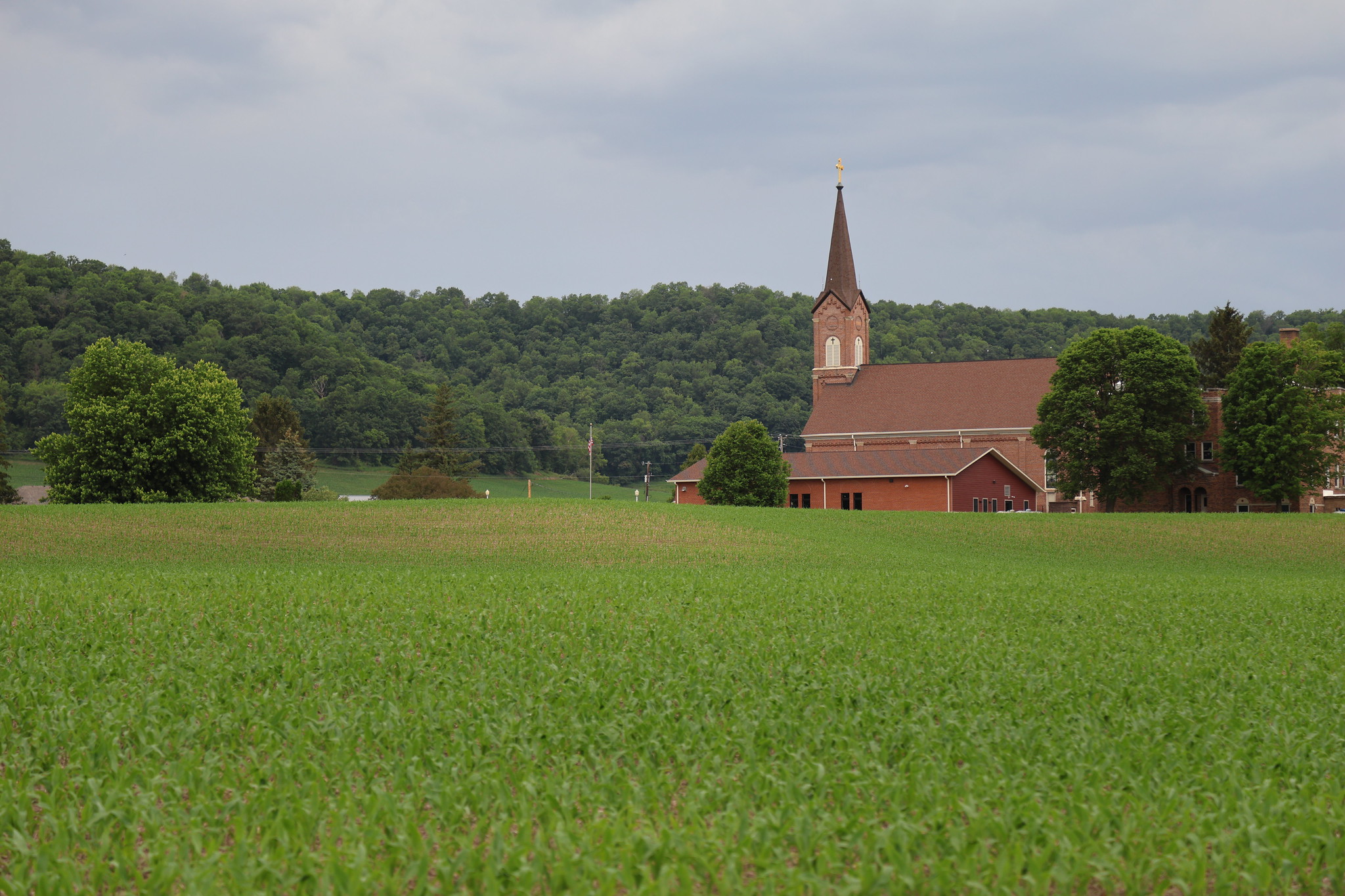 Greenville Greenbelt AEA. Photo by John Goffard