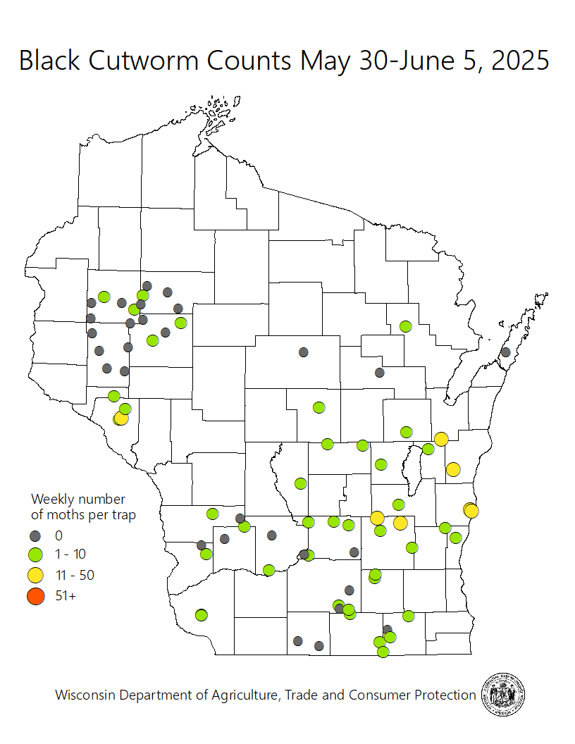 2023mapblackcutworm042723c.png