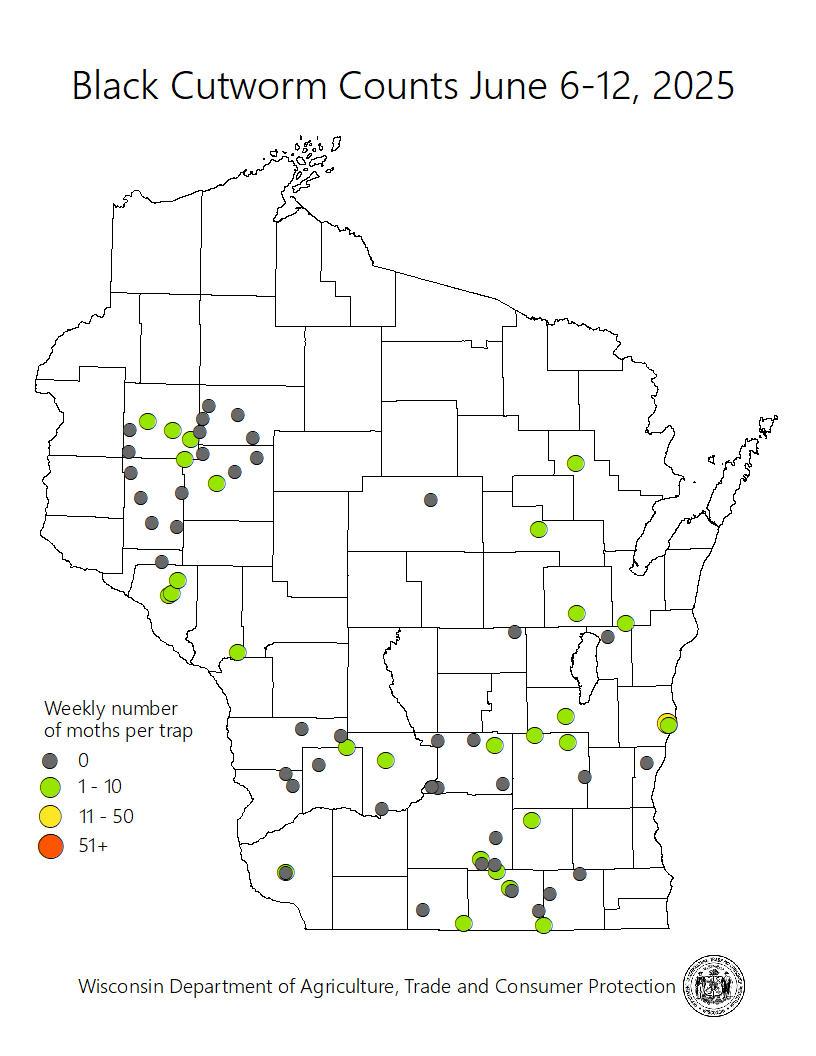 2023mapblackcutworm042723c.png