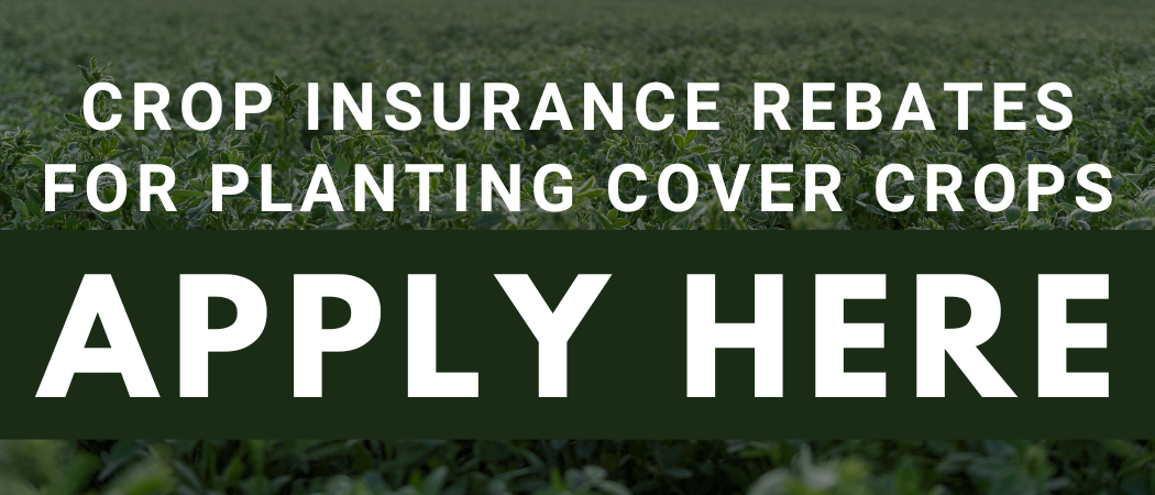 Crop Insurance Rebates for Planting Cover Crops = Apply Here.png