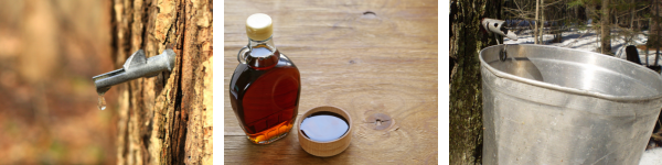Maple Syrup Tap Bucket and FinishedProduct.png