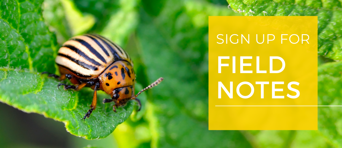 Sign Up for Field Notes