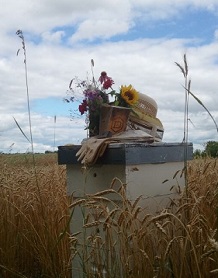 Beehive in field
