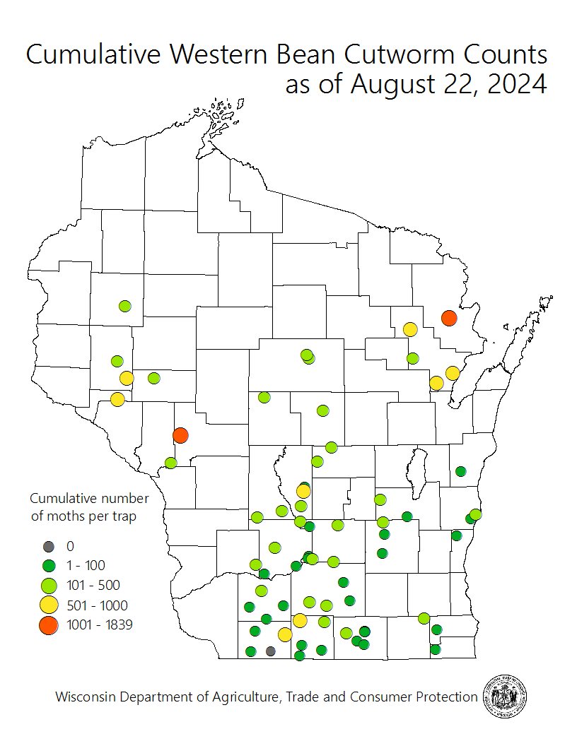 2024mapwesternbeancutworm082224c.png