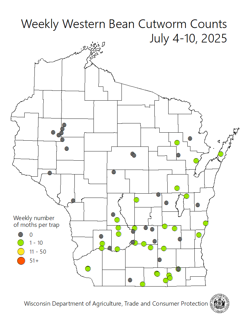 2023mapblackcutworm042723c.png