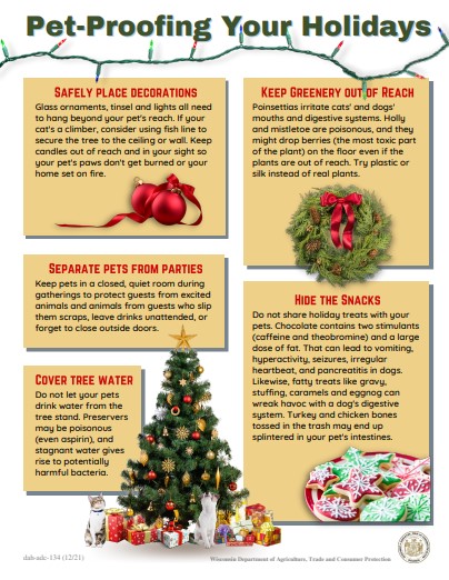 Pet Proofing Holidays Flyer