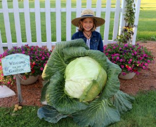 Sydney Sperl with prize-winning cabbage