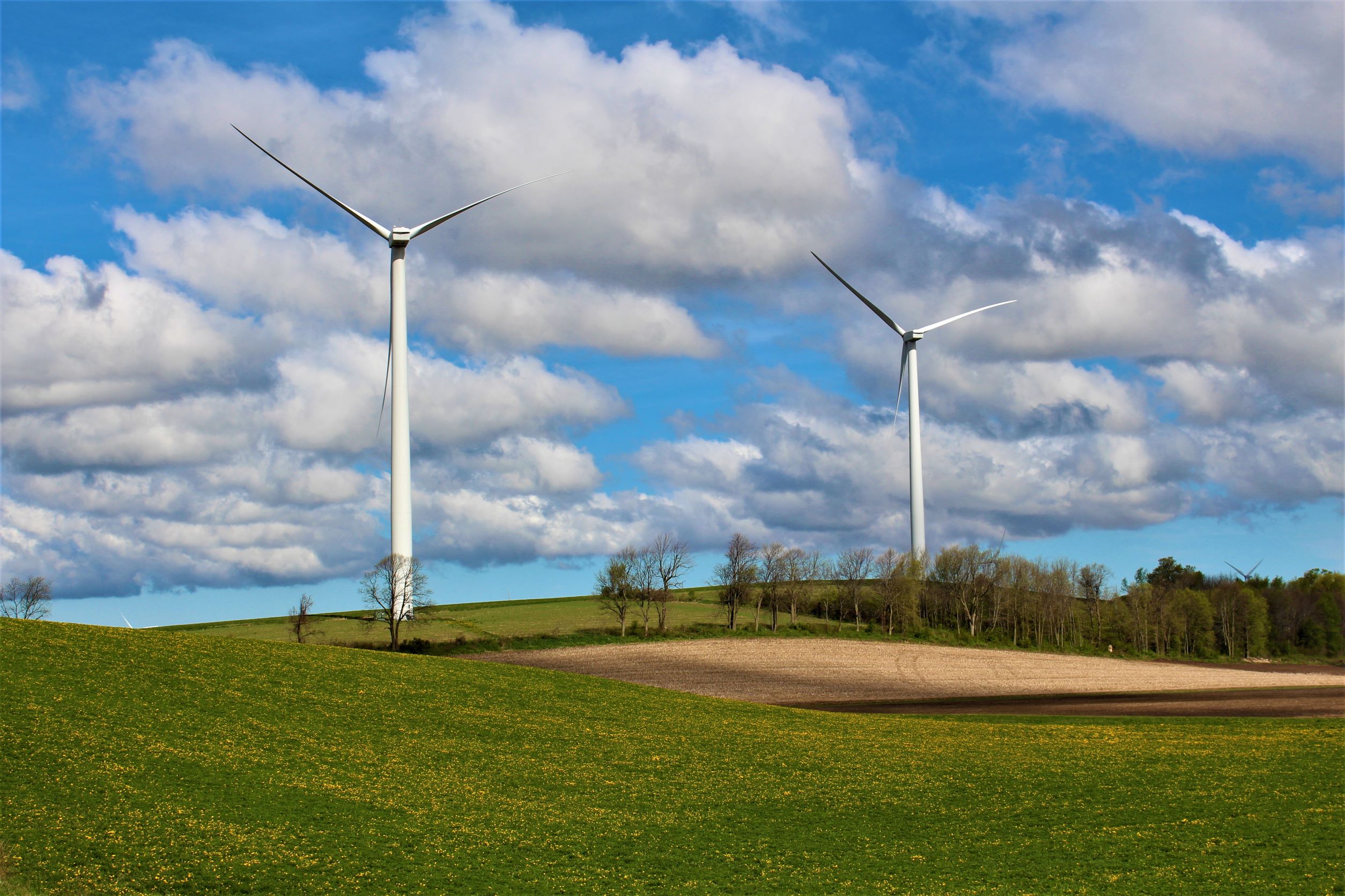 Wind turbines adjacent to cropland